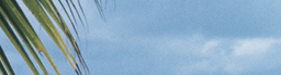 www.traveljungle.co.uk